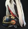 Württemberg General Officer Pickelhaube with Federbush Visuel 12